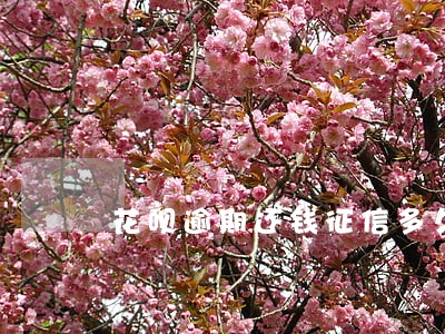 花呗逾期还钱征信多久恢复 花呗逾期还钱征信多久恢复