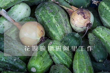 花呗逾期进阿里工作