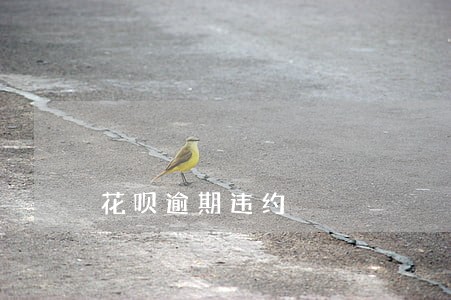 花呗逾期违约