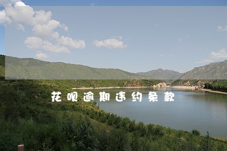花呗逾期违约条款 花呗逾期违约条款