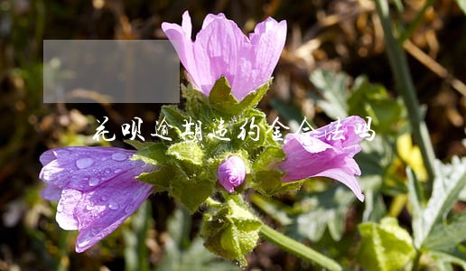 花呗逾期违约金合法吗 花呗逾期违约金合法吗