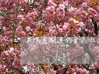 花呗逾期违约金怎么办