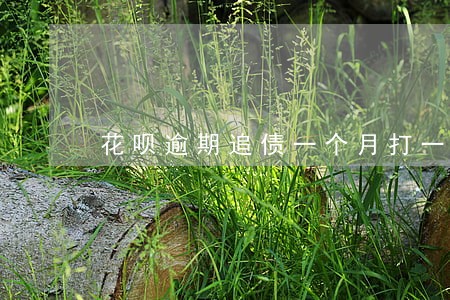 花呗逾期追债一个月打一次电话
