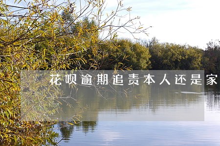 花呗逾期追责本人还是家人 花呗逾期追责本人还是家人