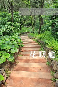 花呗逾期退款会被扣 花呗逾期退款会被扣