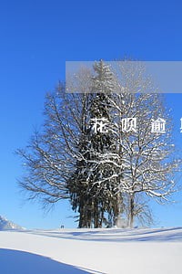 花呗逾期通知函会寄到老家吗 花呗逾期通知函会寄到老家吗