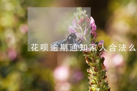 花呗逾期通知家人合法么