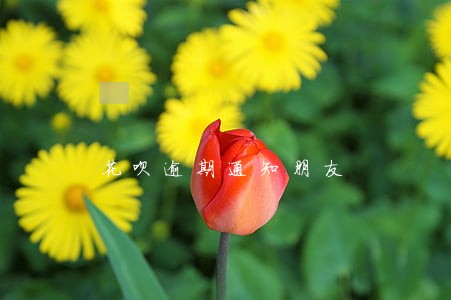 花呗逾期通知朋友 花呗逾期通知朋友