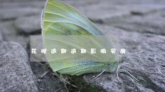 花呗逾期逾期影响买房 花呗逾期逾期影响买房