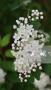 花呗逾期邮递律师函 花呗逾期邮递律师函