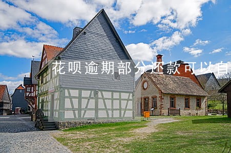 花呗逾期部分还款可以自调额度吗