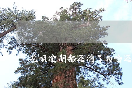 花呗逾期都还清了为啥还不能用 花呗逾期都还清了为啥还不能用