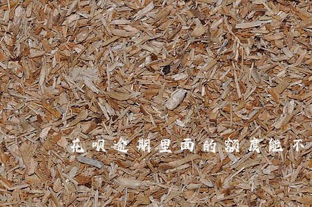 花呗逾期里面的额度能不能用