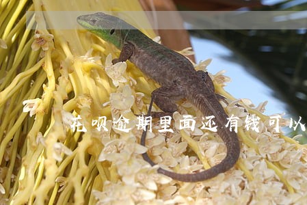 花呗逾期里面还有钱可以用吗 花呗逾期里面还有钱可以用吗