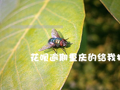 花呗逾期重庆的给我打电话 花呗逾期重庆的给我打电话