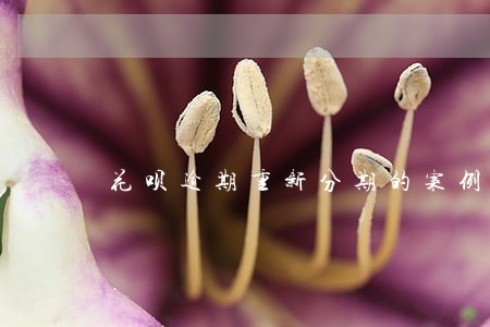 花呗逾期重新分期的案例 花呗逾期重新分期的案例