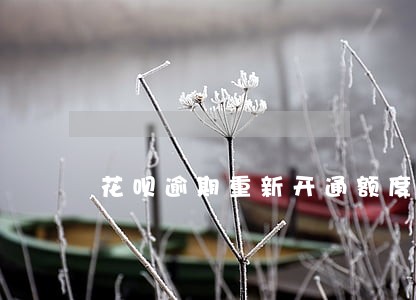 花呗逾期重新开通额度 花呗逾期重新开通额度