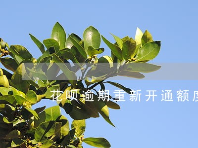 花呗逾期重新开通额度多少 花呗逾期重新开通额度多少