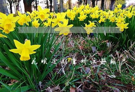 花呗逾期重新注册账户 花呗逾期重新注册账户