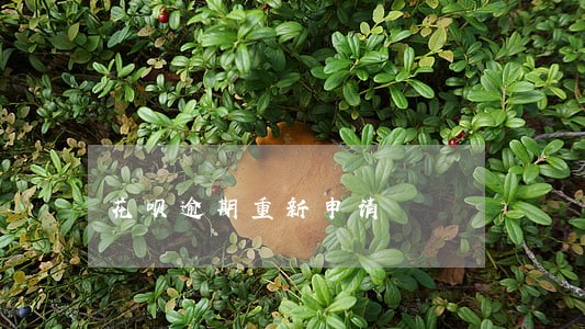 花呗逾期重新申请 花呗逾期重新申请