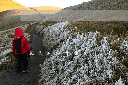 花呗逾期重组图片 花呗逾期重组图片
