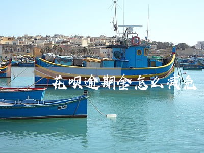 花呗逾期金怎么减免