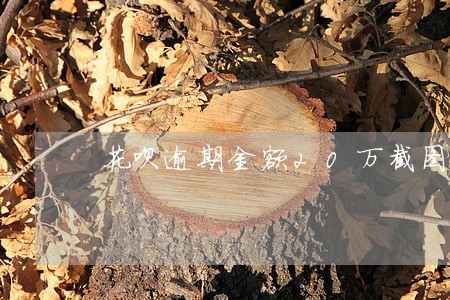 花呗逾期金额20万截图 花呗逾期金额20万截图