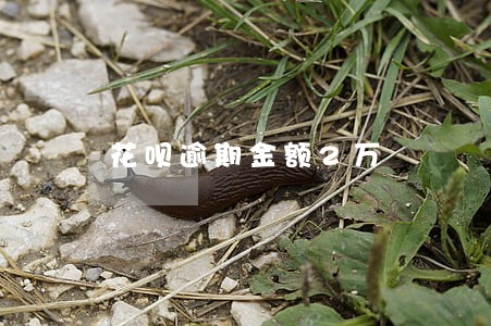 花呗逾期金额2万 花呗逾期金额2万