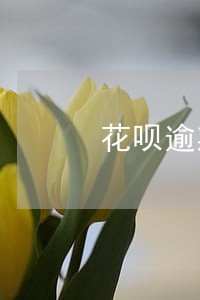 花呗逾期金额600块 花呗逾期金额600块
