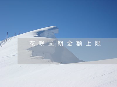 花呗逾期金额上限 花呗逾期金额上限