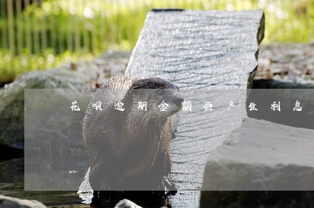 花呗逾期金额会产生利息吗 花呗逾期金额会产生利息吗