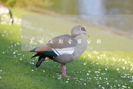 花呗逾期金额分期 花呗逾期金额分期
