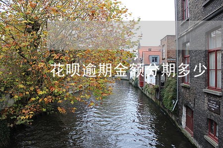 花呗逾期金额分期多少 花呗逾期金额分期多少