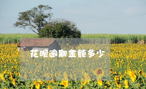 花呗逾期金额多少 花呗逾期金额多少