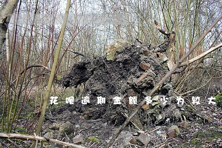花呗逾期金额多少为较大 花呗逾期金额多少为较大