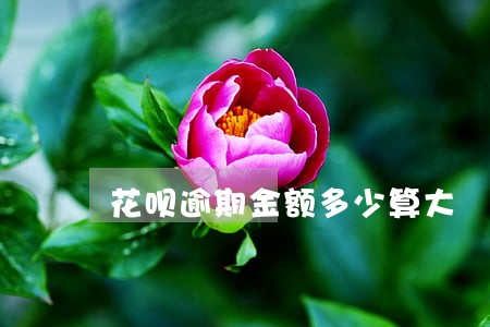 花呗逾期金额多少算大 花呗逾期金额多少算大