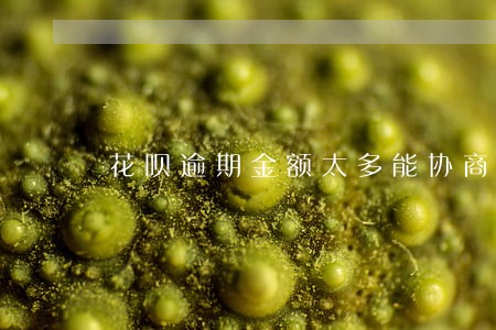 花呗逾期金额太多能协商吗 花呗逾期金额太多能协商吗