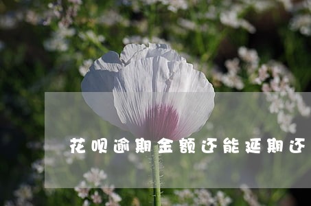 花呗逾期金额还能延期还款吗 花呗逾期金额还能延期还款吗