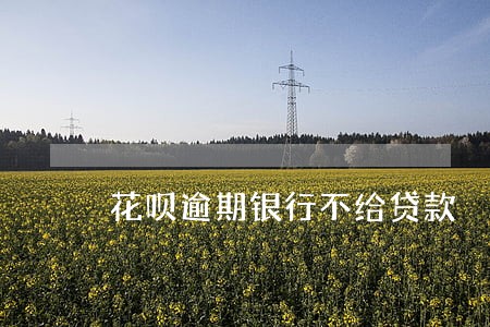 花呗逾期银行不给贷款 花呗逾期银行不给贷款