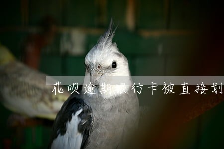 花呗逾期银行卡被直接划走 花呗逾期银行卡被直接划走