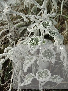 花呗逾期银行放款能放下来吗 花呗逾期银行放款能放下来吗