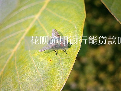 花呗逾期银行能贷款吗