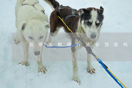 花呗逾期银行还会贷款吗