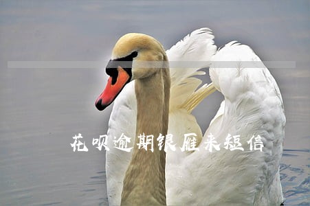 花呗逾期银雁来短信 花呗逾期银雁来短信