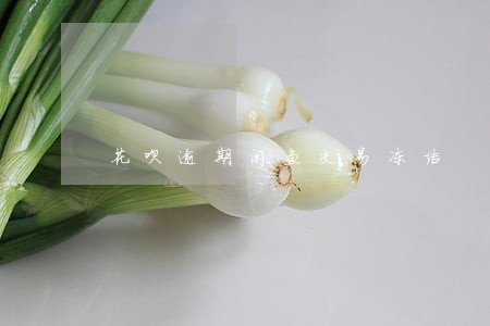 花呗逾期闲鱼交易冻结 花呗逾期闲鱼交易冻结