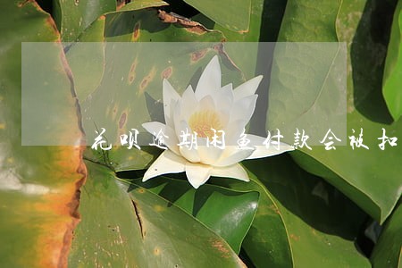 花呗逾期闲鱼付款会被扣吗 花呗逾期闲鱼付款会被扣吗
