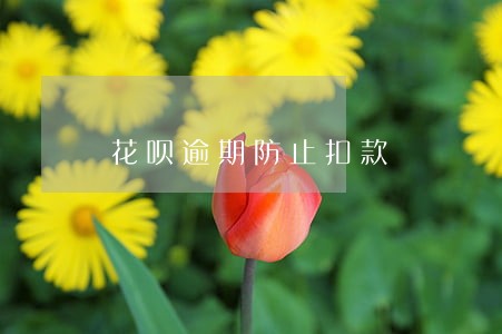 花呗逾期防止扣款