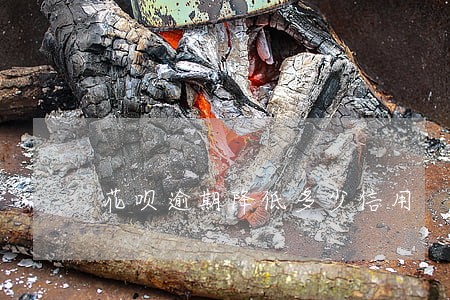 花呗逾期降低多少信用 花呗逾期降低多少信用