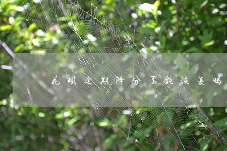 花呗逾期降分了能恢复吗 花呗逾期降分了能恢复吗