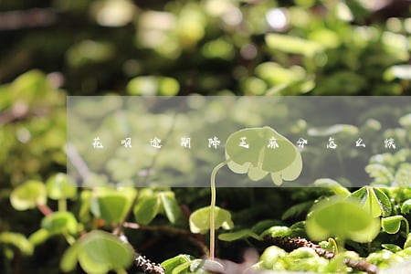 花呗逾期降芝麻分怎么恢复 花呗逾期降芝麻分怎么恢复